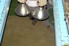 Fühler im Gelände. Fühler im Gelände.