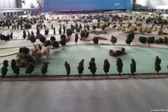 Bäume und Sträucher Bäume und Sträucher