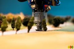 FASIP (7 von 9) FASIP (7 von 9)