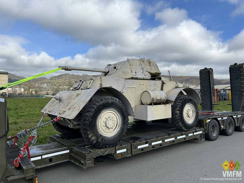 Staghound T17