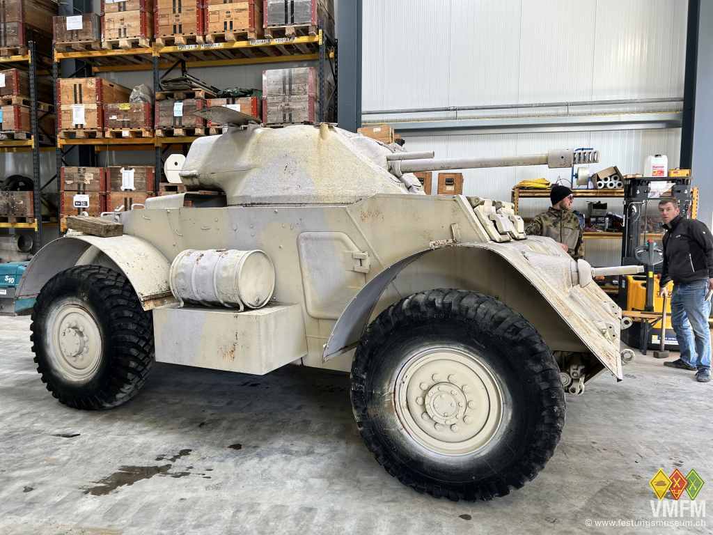 Staghound T17